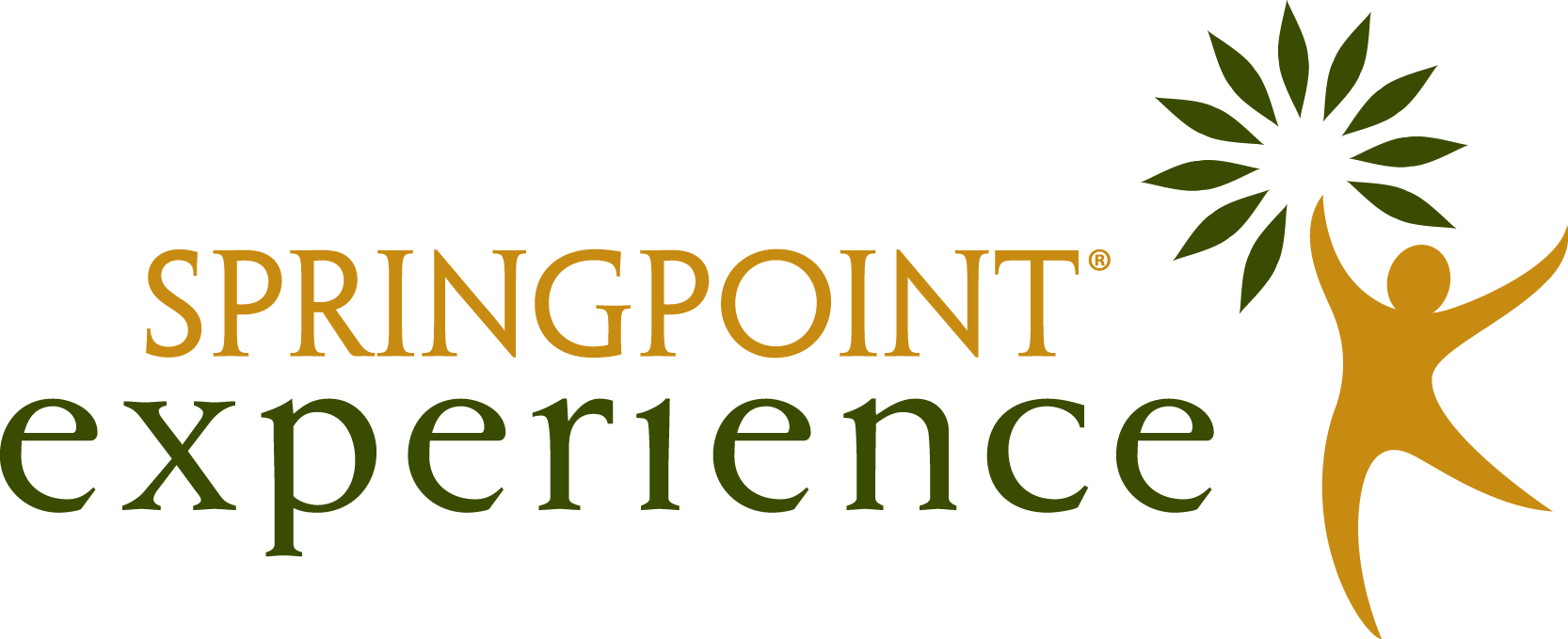The Springpoint Experience logo